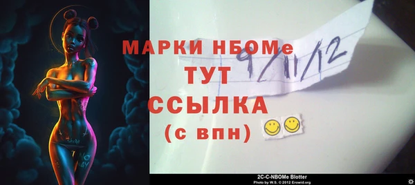 хмурый Алзамай