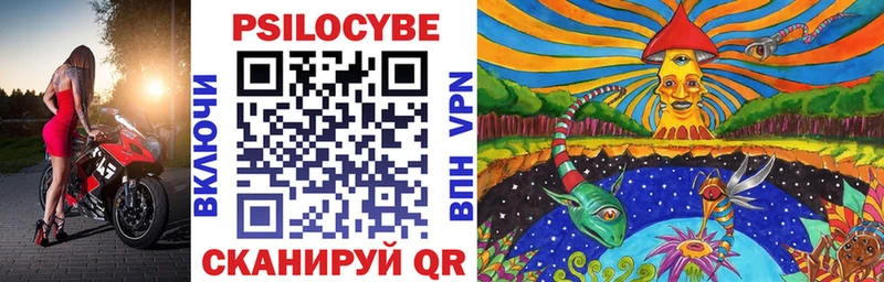 ОМГ ОМГ онион Грайворон Галлюциногенные грибы мицелий