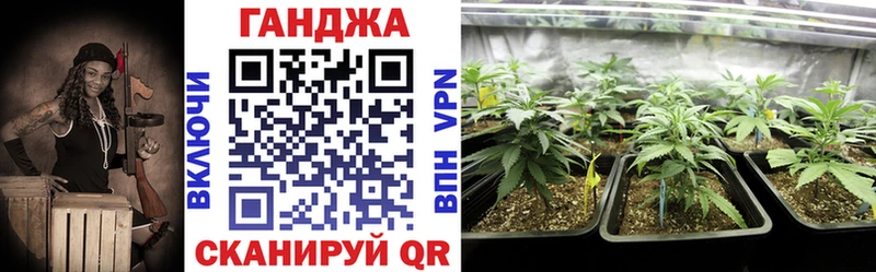 Каннабис сатива купить Грайворон